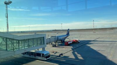 Рязанских туристов предупредили о приостановке работы ряда аэропортов