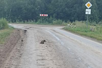 Рязанцы пожаловались на грязь на дороге в Мельгуново