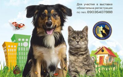 В Лесопарке Рязани пройдёт выставка, направленная на поиск дома для собак и кошек