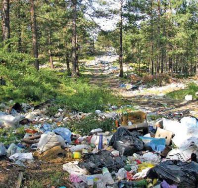 Прокуратура потребовала убрать незаконные свалки мусора в Рыбновском районе