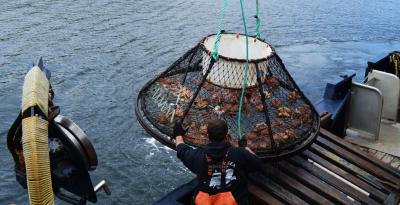 Россельхозбанк: Новое решение для увеличения эффективности рыбоводческих предприятий