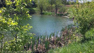 В Дашково-Песочне провели санитарную очистку пруда