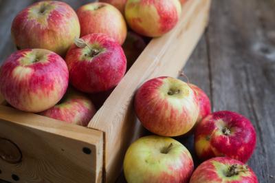 На продуктовой пятой базе Рязани нашли подкарантинные яблоки