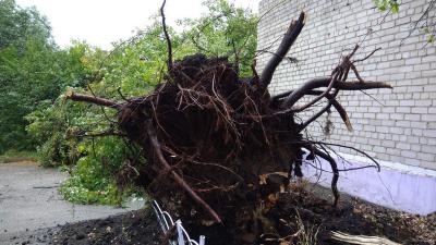 Под Спасском ураган валил деревья и сносил крыши домов