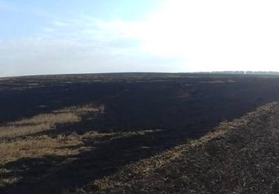В Захаровском районе загорелось свыше 100 гектаров стерни