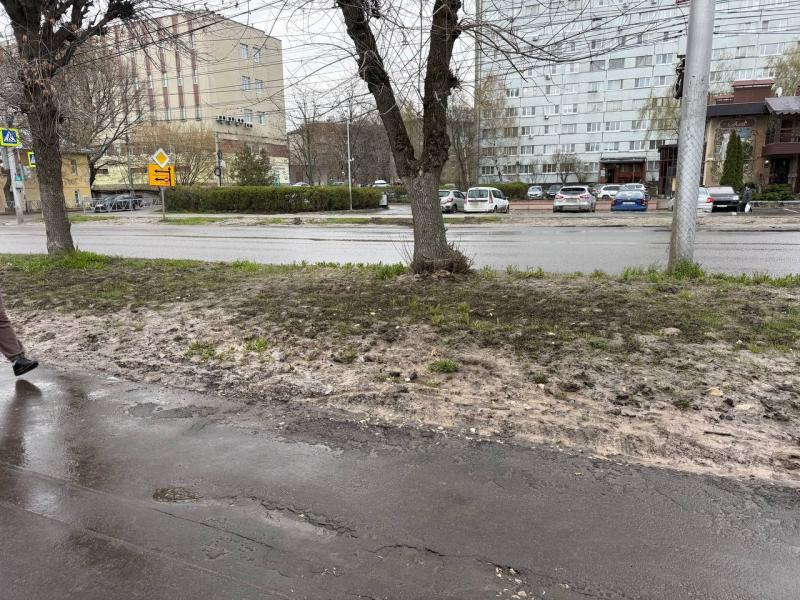 В рязанском регионе ночью похолодает до 1 градуса