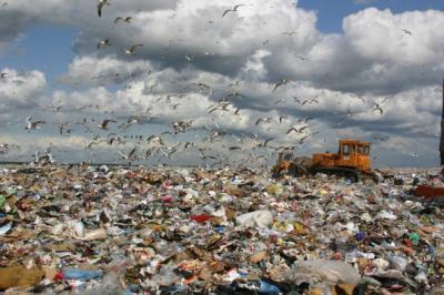 Систему утилизации мусора в Рязанской области отдадут на концессию