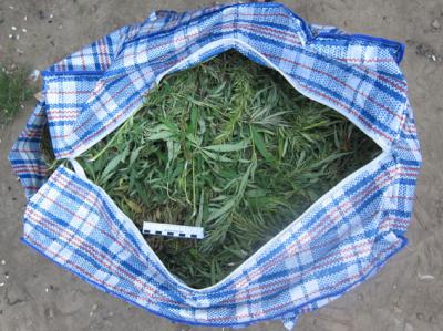 Наркополицейские изъяли в Рыбном пять килограммов марихуаны