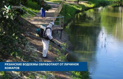 Водоёмы Рязани обработают от личинок комаров