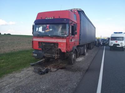 Четыре человек погибли в ДТП в Рязанской области
