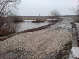 Мост в Путятинском районе появился из вод реки Пара