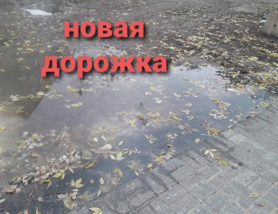 В сквере Пушкина в Рязани затопило новую дорожку