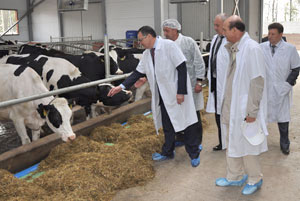 Министр сельского хозяйства РФ оценил молочное животноводство Рязанщины
