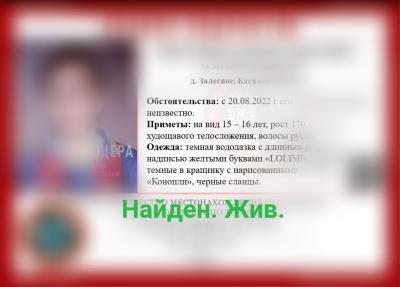Пропавшие в Касимовском районе подростки найдены живыми