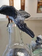 1000105206.jpg title=