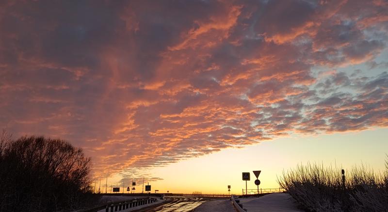 Рязанская область намерена участвовать в пилотном проекте по экомониторингу