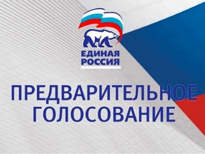 Единороссы подвели итоги предварительного голосования в Рязанской области