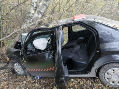 Под Рязанью такси слетело в кювет и врезалось в дерево, водитель погиб