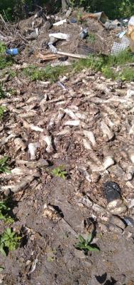 В двух сельских поселениях Рязанской области обнаружены гниющие останки животных