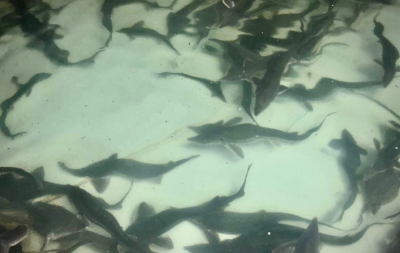 Фото сайта ИД «Пресса»