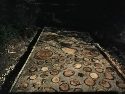 В рязанском Лесопарке начали укладку экотропы