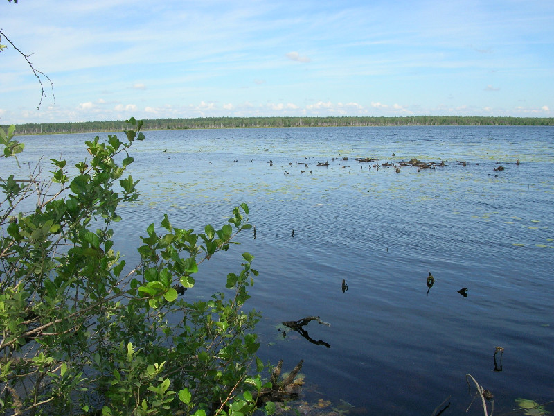 Озеро черное рязань