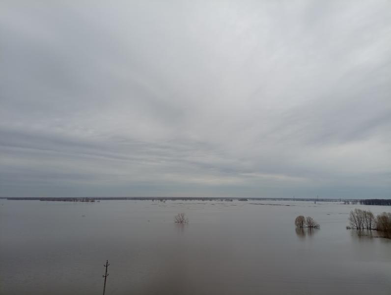 В Рязани уровень воды в Оке повысился на 32 сантиметра