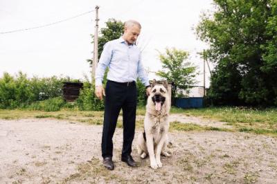 Аркадий Фомин рассказал о чипировании своего пса
