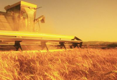 Рязанские аграрии ожидают беспрецедентный урожай
