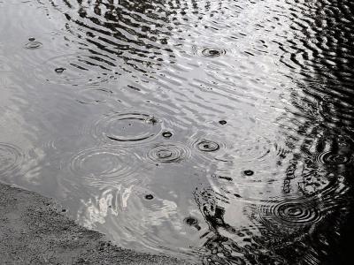 Рязанцев предупредили о небольших дождях и грозах