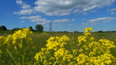 «Рязаньэнерго» повышает надёжность электроснабжения потребителей