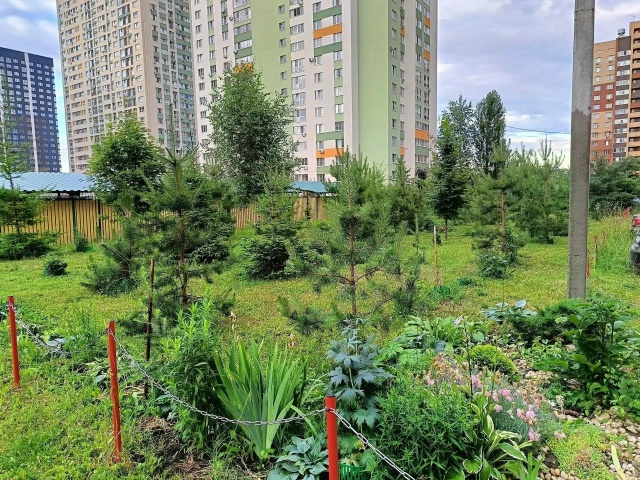 В Рязани продолжается приём заявок на смотр-конкурс «Лучший ТОС, двор, подъезд»