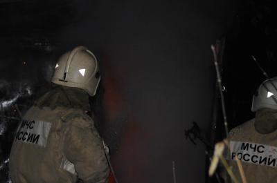 Пожарные не отстояли жилой дом в Михайловском районе