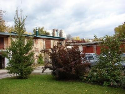 У рязанской больницы №8 высадили деревья на «Аллее сохранённых жизней»