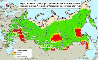 Опубликован прогноз пожарной опасности в лесах Рязанской области