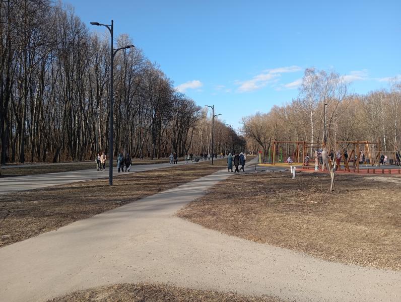 Благоустройство Лесопарка в Рязани выполнит предприниматель из Ямало-Ненецкого АО