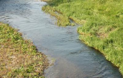 Минприроды рассказало, когда почистят русло реки Шача возле Шацка