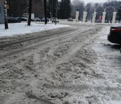 Рязанцы жалуются на нечищеные от снега парки и бульвары