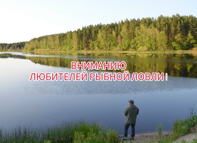 В нацпарке «Мещёрский» ввели запрет на рыбную ловлю в период нереста