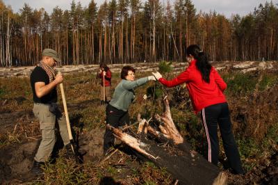 На рязанских просторах снова взялись за восстановление сгоревшего леса