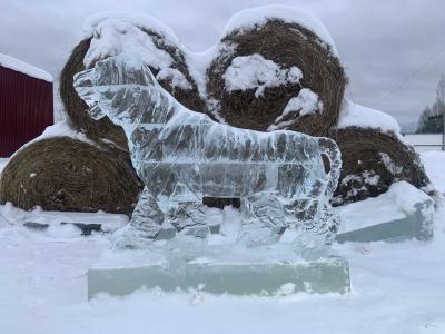 В спасском селе Орехово прошёл праздник ледяных скульптур