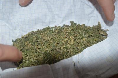 Молодого сасовца уличили в хранении марихуаны