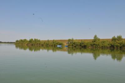 В Рязанском районе в Оке утонула женщина
