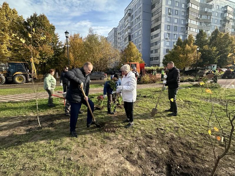 В Воскресенском сквере в Рязани высадили рябины и сирень