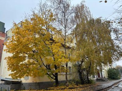 Рязанцам пообещали ещё один дождливый день