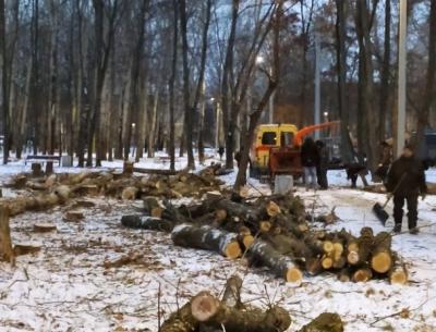 Рязанцы пожаловались на вырубку деревьев в парке Гагарина