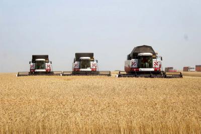 В Рязанской области установлен рекорд по сбору зерна
