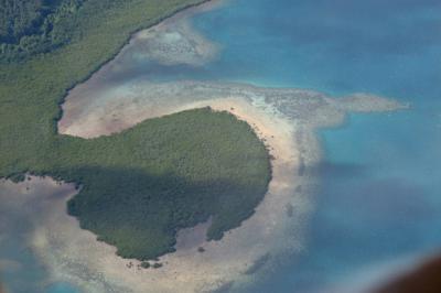 На берег пляжа Фиджи выбросило человеческую голову
