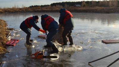 Утонувшая в озере под Рязанью женщина вмёрзла в лёд