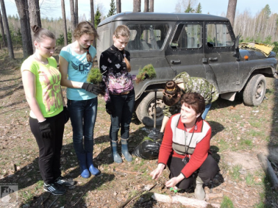 Пителинские школьники возрождают лес